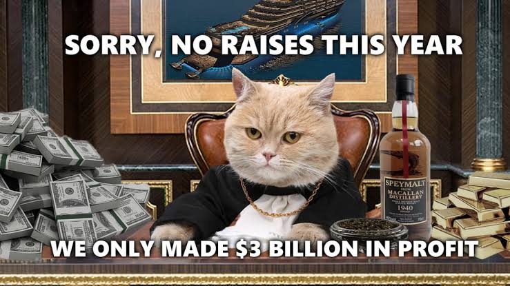 Executive cat